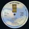 Eagles – Desperado