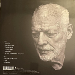 David Gilmour - Luck And Strange