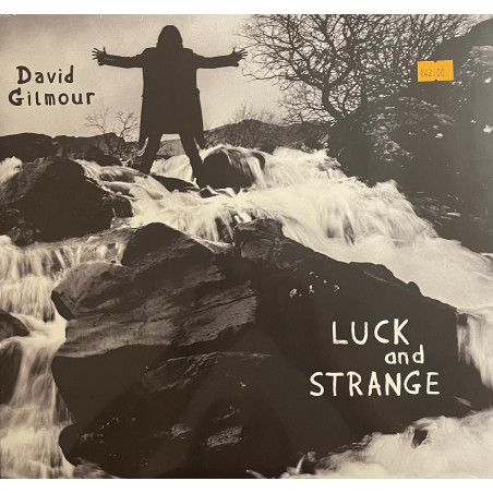David Gilmour - Luck And Strange