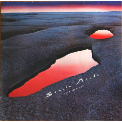 Simple Minds ‎– Life In A Day