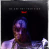 Slipknot ‎– We Are Not Your Kind  2LP