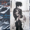 Jules Shear – The Eternal Return