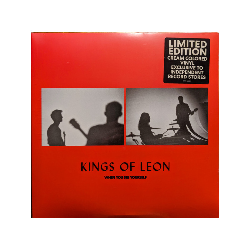 Kings Of Leon – When You See Yourself 2LP - Coloured Kings Of Leon – When You See Yourself 2LP - Coloured