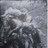 Richard Strauss - Hungarian Army Chorus, Hungarian State Orchestra – Guntram 2LP Box