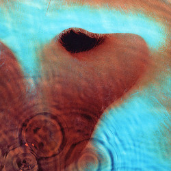 Pink Floyd ‎– Meddle