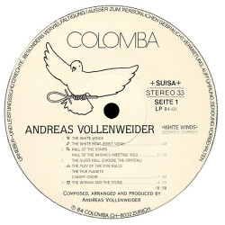 Andreas Vollenweider – White Winds (Seeker's Journey)