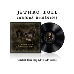 Jethro Tull - Curious Ruminant LP