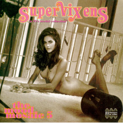 Various – The Mood Mosaic 5 - Supervixens  2LP - Coloured