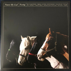 Foxing – Nearer My God 2LP - Coloured