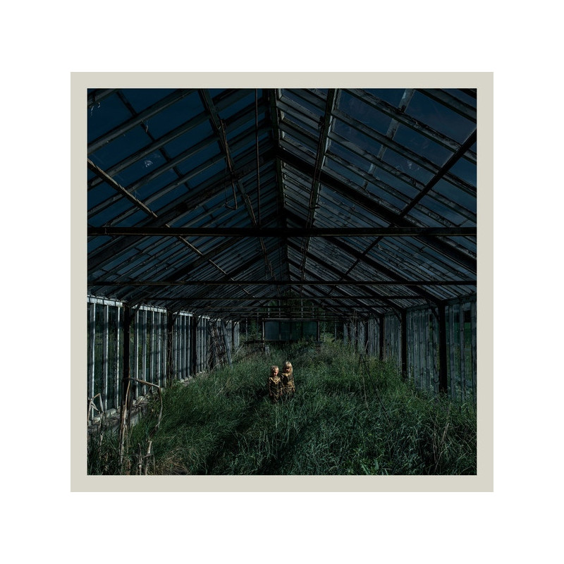Foxing – Dealer