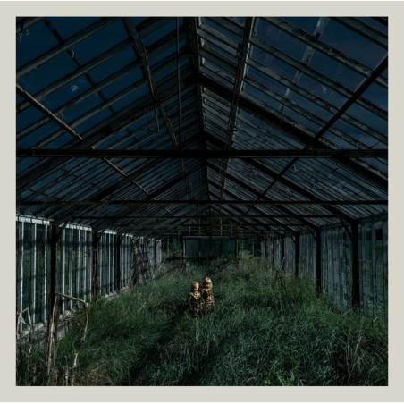 Foxing – Dealer
