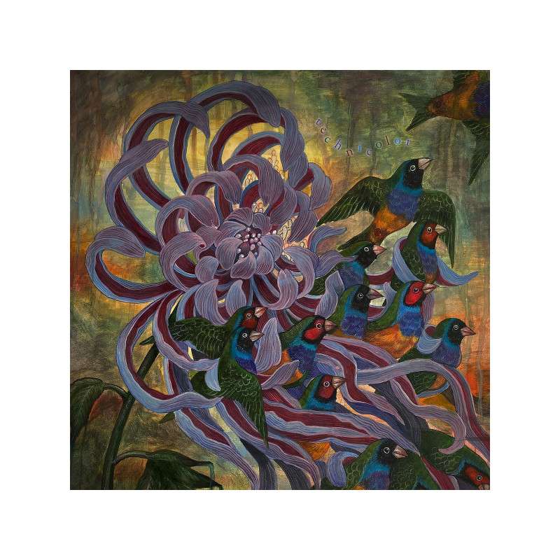 Covet – Technicolor - coloured