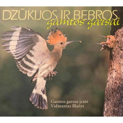 Vidmantas Blažys ‎– Dzūkijos ir Bebros - Gamtos garsai 2CD