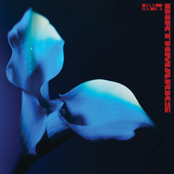 Bambara – Birthmarks - Coloured
