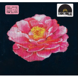 Post Malone – Tribute To Nirvana -  Coloured - RSD 2025
