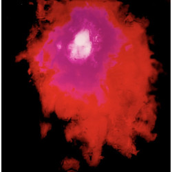 Porcupine Tree – Up the Downstair  2LP