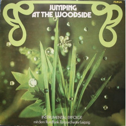 Rundfunk-Tanzorchester Leipzig – Jumping At The Woodside (Instrumental-Erfolge Mit Dem Rundfunk-Tanzorchester Leipzig)