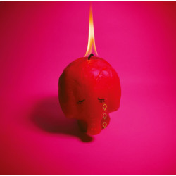 Arcade Fire - Pink Elephant CD