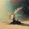 Jon Anderson & The Band Geeks – Live - Perpetual Change 3LP