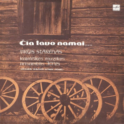 Virgis Stakėnas Ir Kaimiškos Muzikos Ansamblis Jonis ‎– Čia Tavo Namai