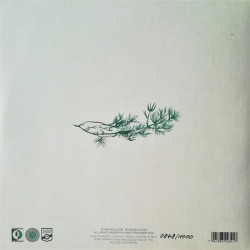 Orango ‎– Evergreens