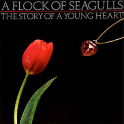 A Flock Of Seagulls ‎– The Story Of A Young Heart
