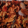 Fritz Hartschuh Quartett ‎– Autumn In Europe