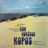 Benjaminas Gorbulskis ‎– Kur Aukštos Kopos
