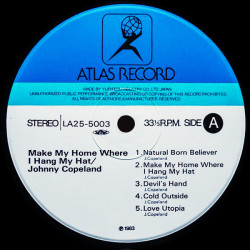 Johnny Copeland ‎– Make My Home Where I Hang My Hat