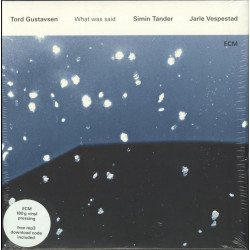 Tord Gustavsen ‎– What Was Said 2LP