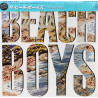 The Beach Boys ‎– The Beach Boys