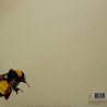 Tyler, The Creator ‎– Scum Fuck Flower Boy 2LP