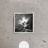 Nils Frahm ‎– Empty