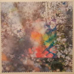 Four Tet ‎– Sixteen Oceans 2LP