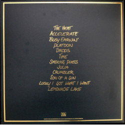 Jungle  ‎– Jungle