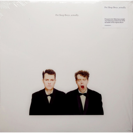 Pet Shop Boys ‎– Actually