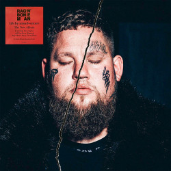Rag'n'Bone Man ‎– Life By Misadventure 2LP