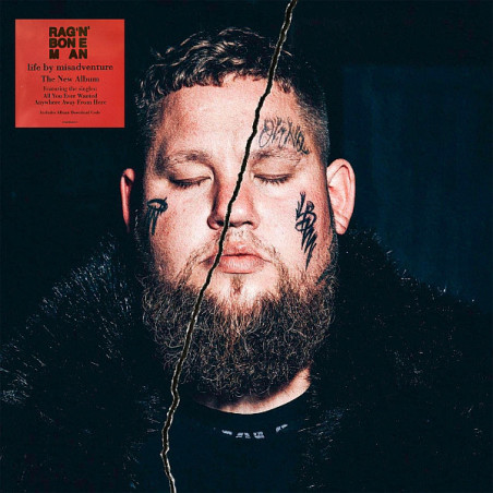 Rag'n'Bone Man ‎– Life By Misadventure 2LP