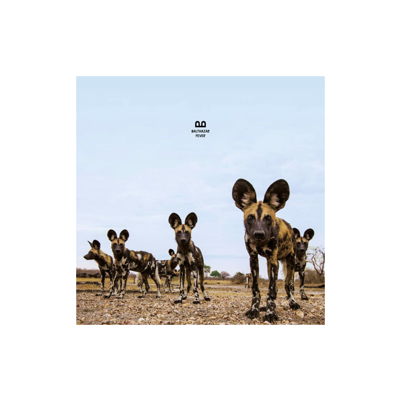 Balthazar – Fever