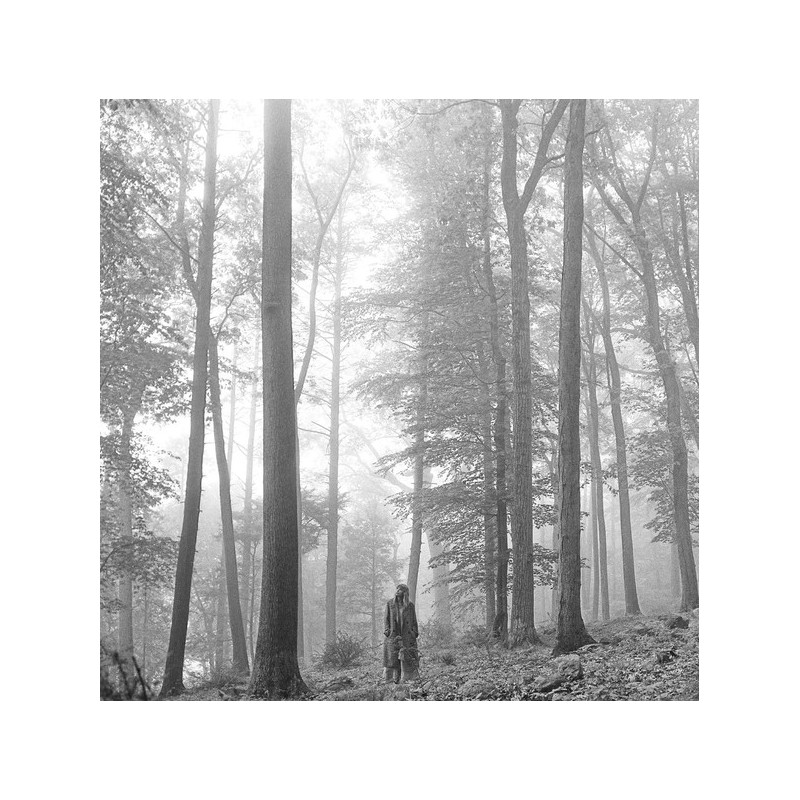 Taylor Swift ‎– Folklore 2LP