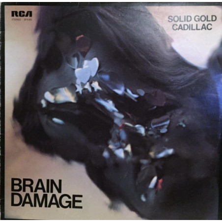 Solid Gold Cadillac ‎– Brain Damage