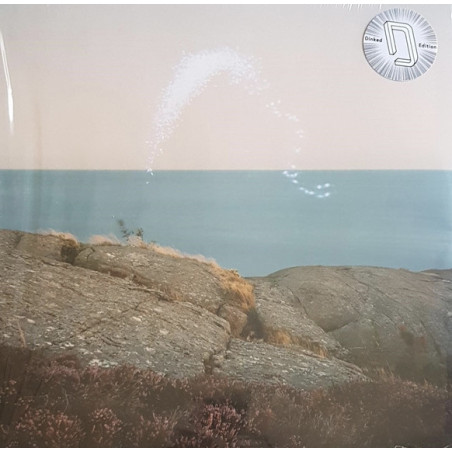 Cassandra Jenkins  – An Overview On Phenomenal Nature - Coloured