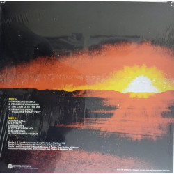 King Gizzard And The Lizard Wizard – Polygondwanaland - Coloured