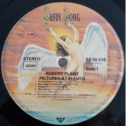 Robert Plant ‎– Pictures At Eleven