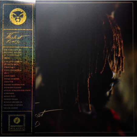 Thundercat – It Is What It Is - Coloured