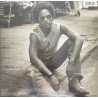 Lenny Kravitz – Greatest Hits 2LP