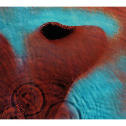 Pink Floyd – Meddle CD