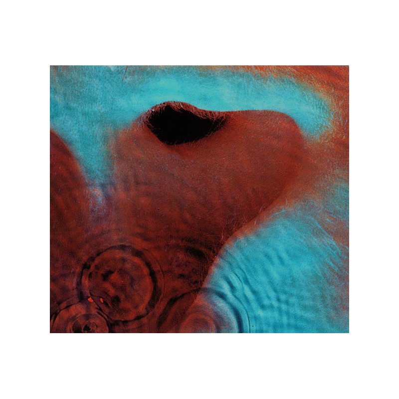 Pink Floyd – Meddle CD