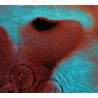 Pink Floyd – Meddle CD