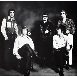 The Ventures – Portrait 2LP